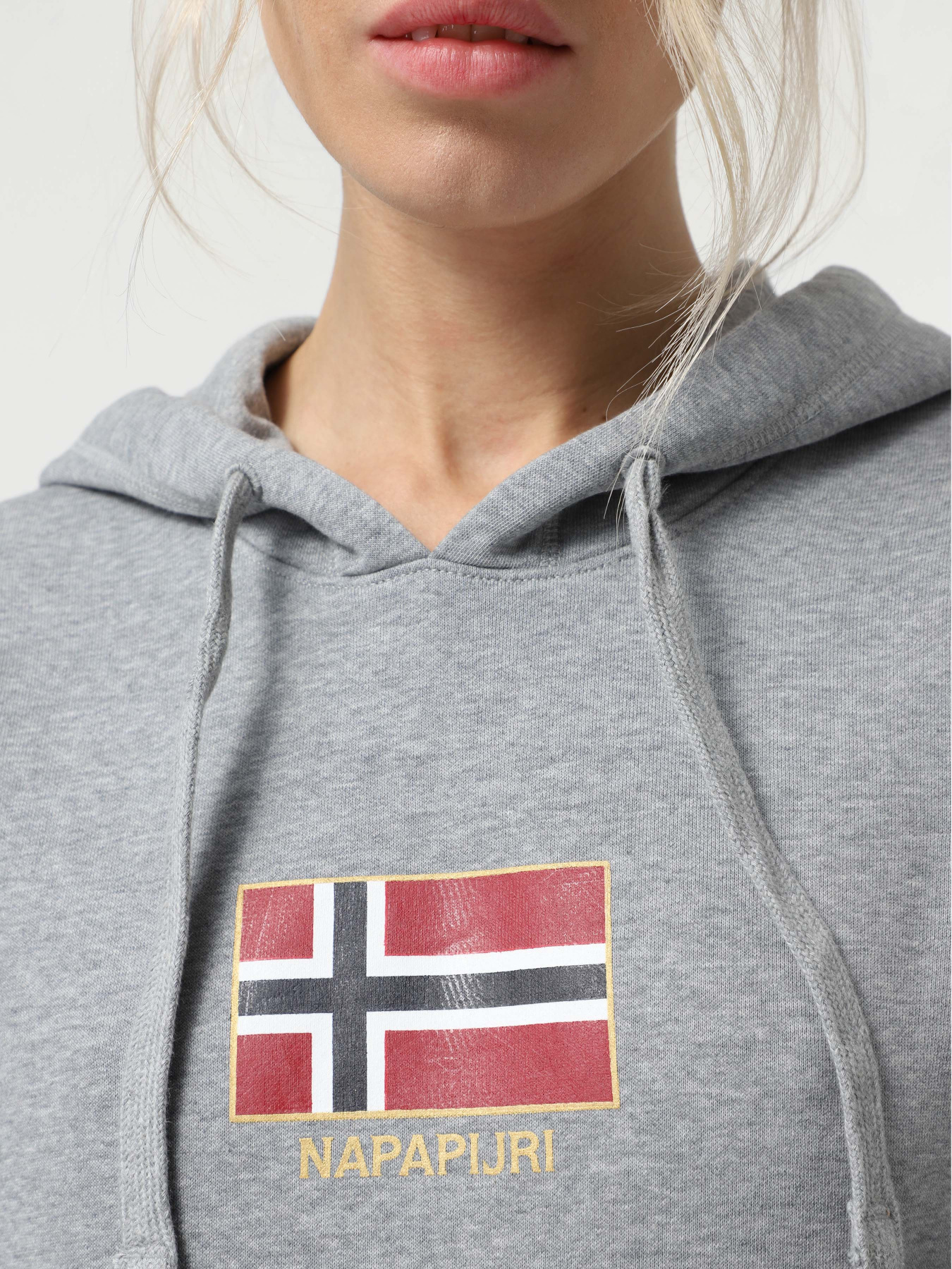 Худи Napapijri Bient модель NP0A4H3E1601 Худи Napapijri Bient модель NP0A4H3E1601 Фото