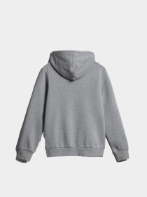 Худи Napapijri Bient модель NP0A4H3E1601 Худи Napapijri Bient модель NP0A4H3E1601 Фото