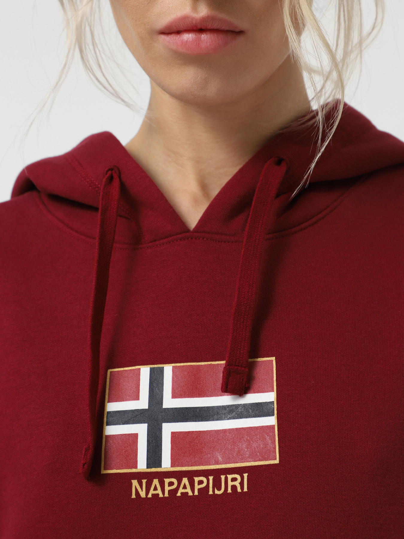 Худі Napapijri Bient модель NP0A4H3ER541 Фото