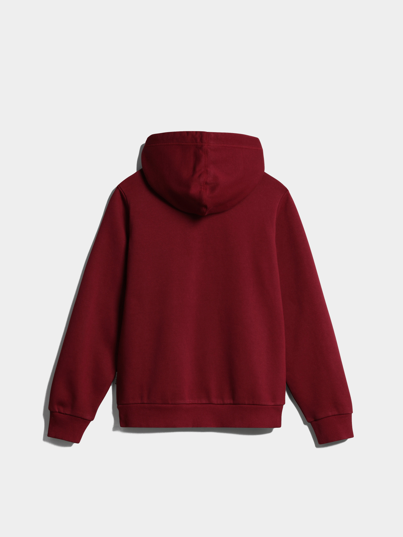 Худі Napapijri Bient модель NP0A4H3ER541 Фото