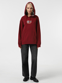 Худі Napapijri Bient модель NP0A4H3ER541 Фото