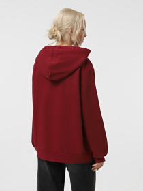 Худі Napapijri Bient модель NP0A4H3ER541 Фото