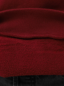 Худі Napapijri Bient модель NP0A4H3ER541 Фото