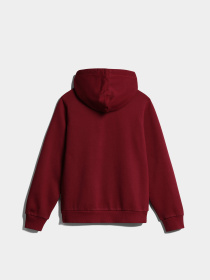 Худі Napapijri Bient модель NP0A4H3ER541 Фото