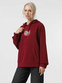 Худі Napapijri Bient модель NP0A4H3ER541 Фото