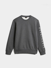 Світшот Napapijri Badas C 1 модель NP0A4H991971 Фото