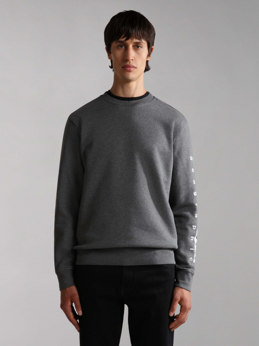 Свитшот Napapijri Badas C 1 модель NP0A4H991971 Фото