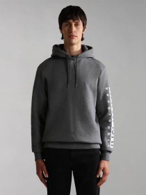 Худи Napapijri Badas H 1 модель NP0A4H9A1971 Фото