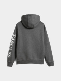 Худи Napapijri Badas H 1 модель NP0A4H9A1971 Фото