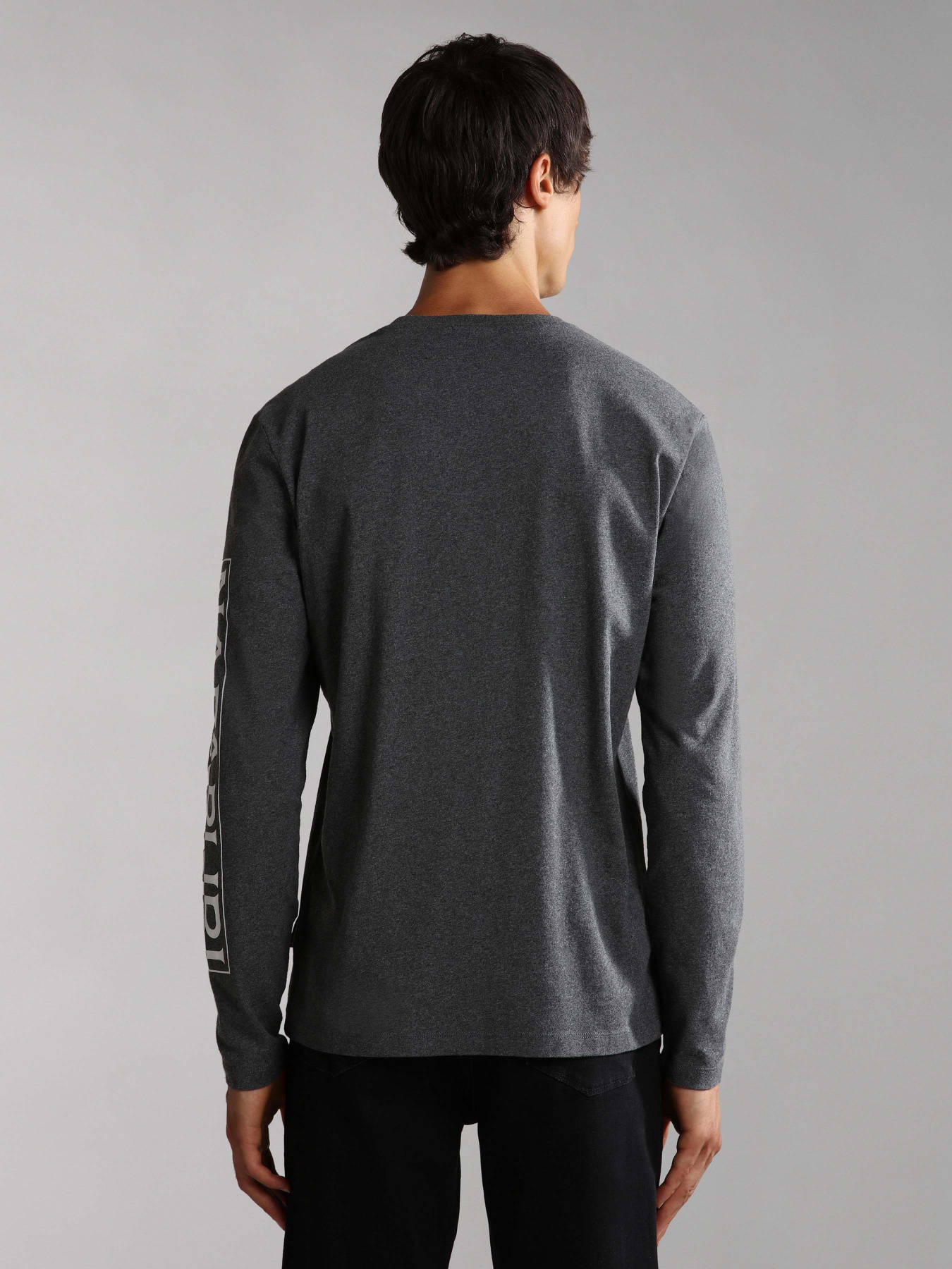 Свитшот Napapijri Sadas Ls 1 модель NP0A4H9C1971 Фото