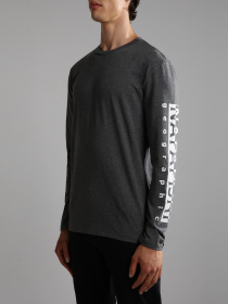 Свитшот Napapijri Sadas Ls 1 модель NP0A4H9C1971 Фото