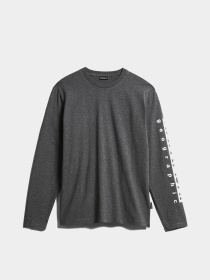 Свитшот Napapijri Sadas Ls 1 модель NP0A4H9C1971 Фото