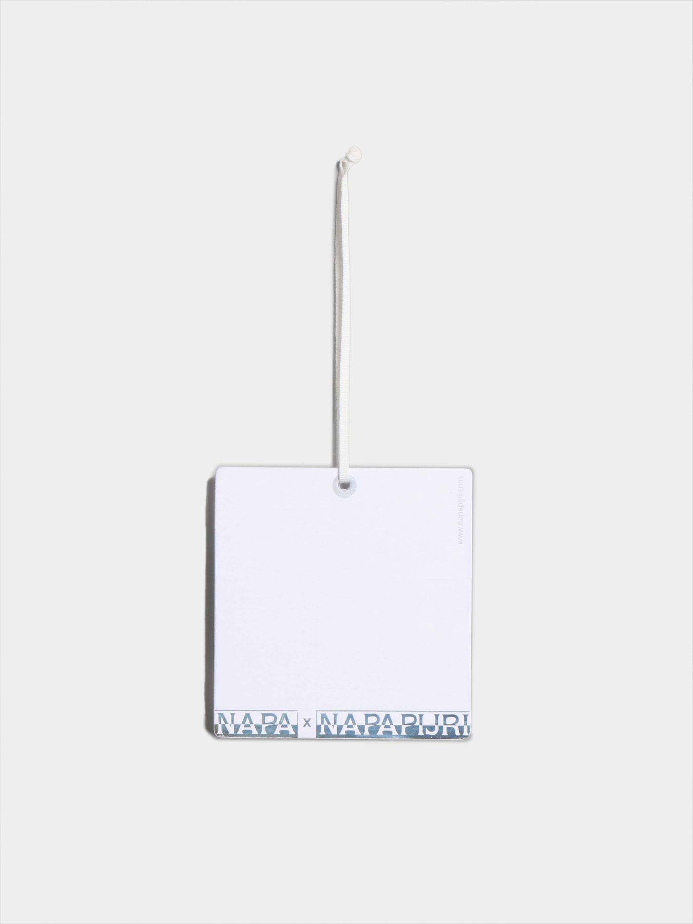 Худи Napapijri Lvr модель NP0A4H9GH511 Фото