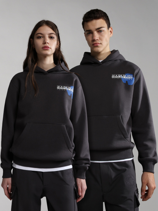 Худи Napapijri Lvr модель NP0A4H9GH511 Фото