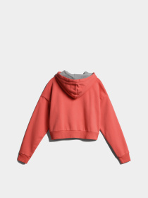 Худи Napapijri модель NPOA4GKJPP38 Фото