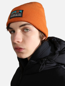 Шапка Napapijri F-Mountain модель NP0A4GROAA3S Фото