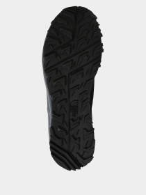 Кроссовки для тренировок The North Face Hedgehog Hike II Mid WP модель NF0A4PFGM8U1 Фото