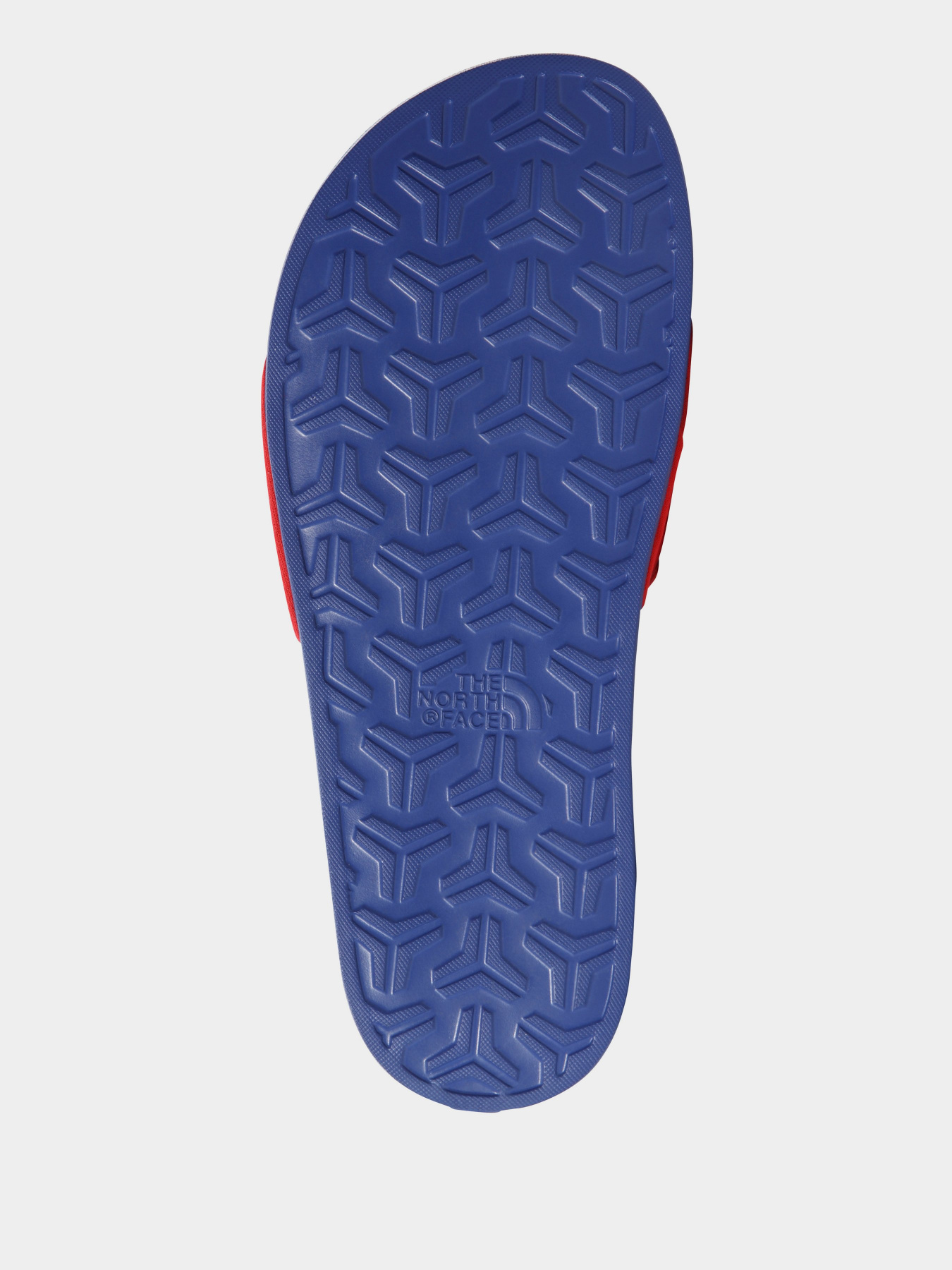 Шлёпанцы The North Face Base Camp Slide III модель NF0A4T2RZ451 Фото