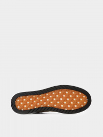 Черевики The North Face Larimer Mid WP модель NF0A52RM1XF1 Фото