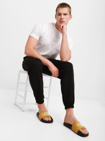 Сланцы The North Face Base Camp Slide III модель NF0A4T2RYQR1 Фото