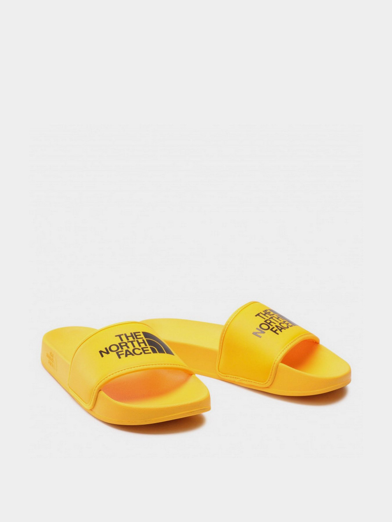 Шлепанцы The North Face Base Camp Slide III модель NF0A4T2RZU31 Фото