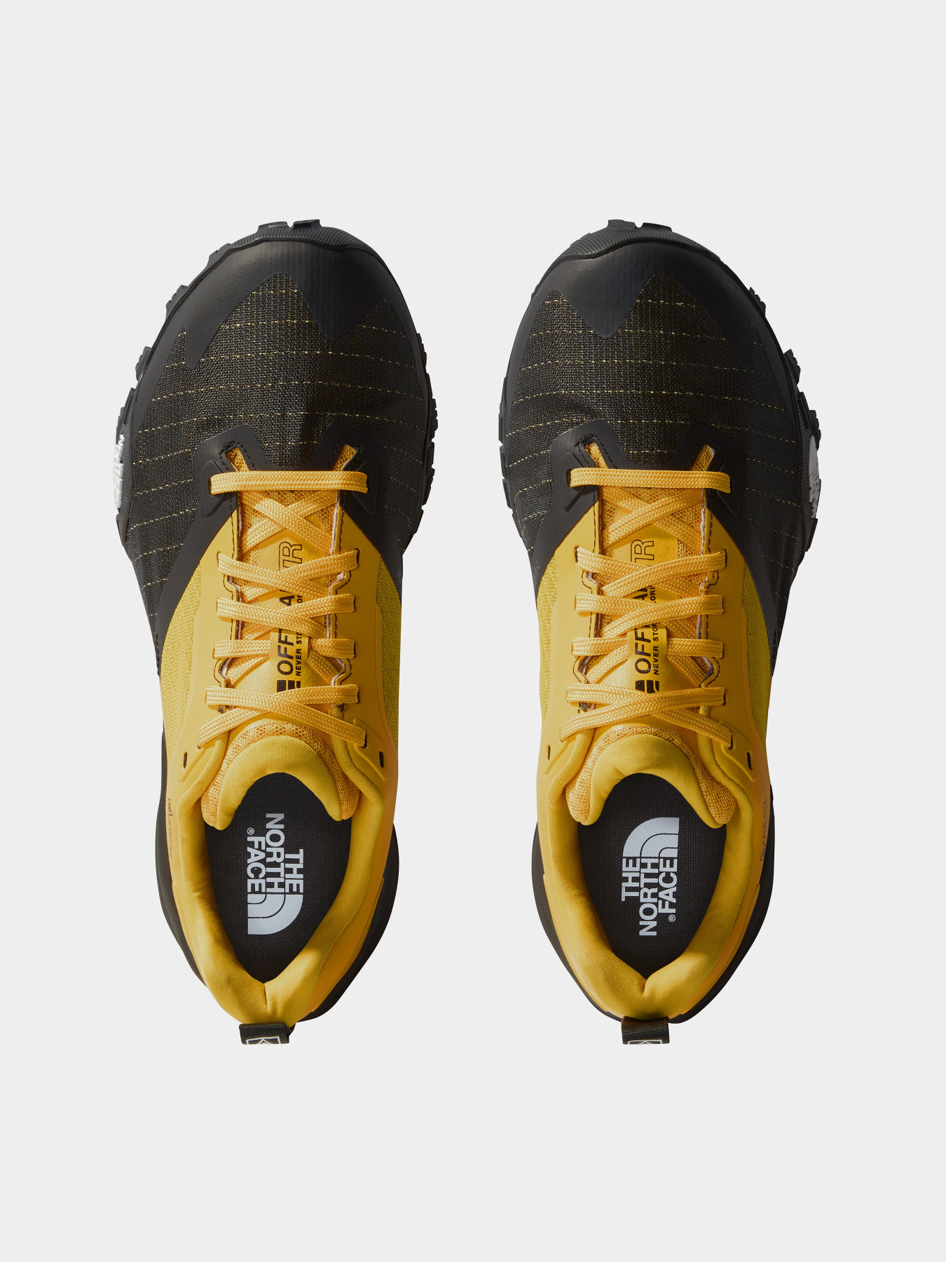 Кросівки аутдор The North Face Offtrail TR Gore-tex модель NF0A8A9XZU31 Фото