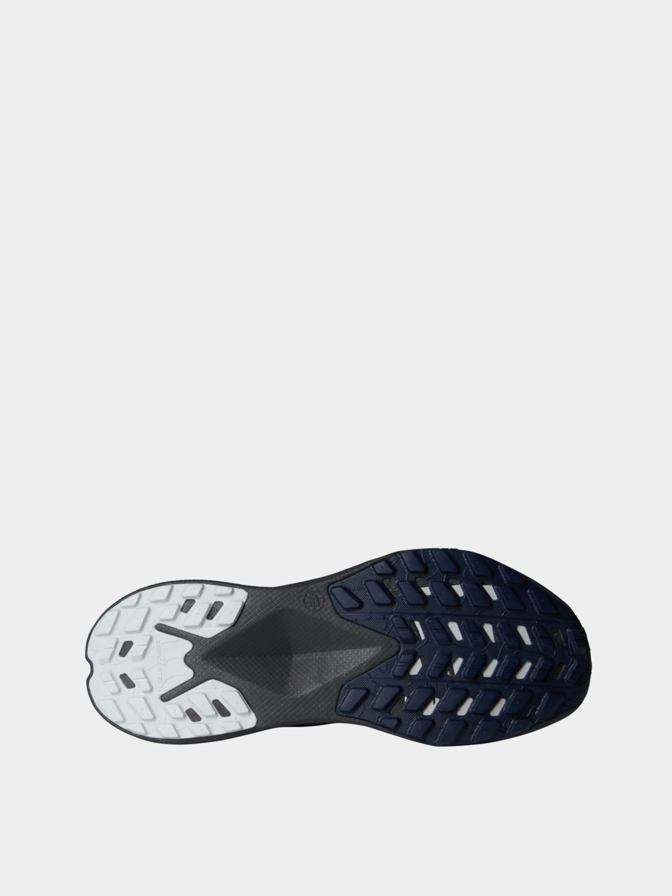 Кроссовки для бега The North Face модель NF0A8A9RF2O1 Фото