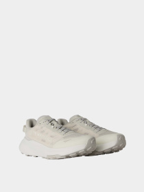 Кросівки The North Face ALTAMESA 300 V2 модель NF0A8G6M6S41 Фото