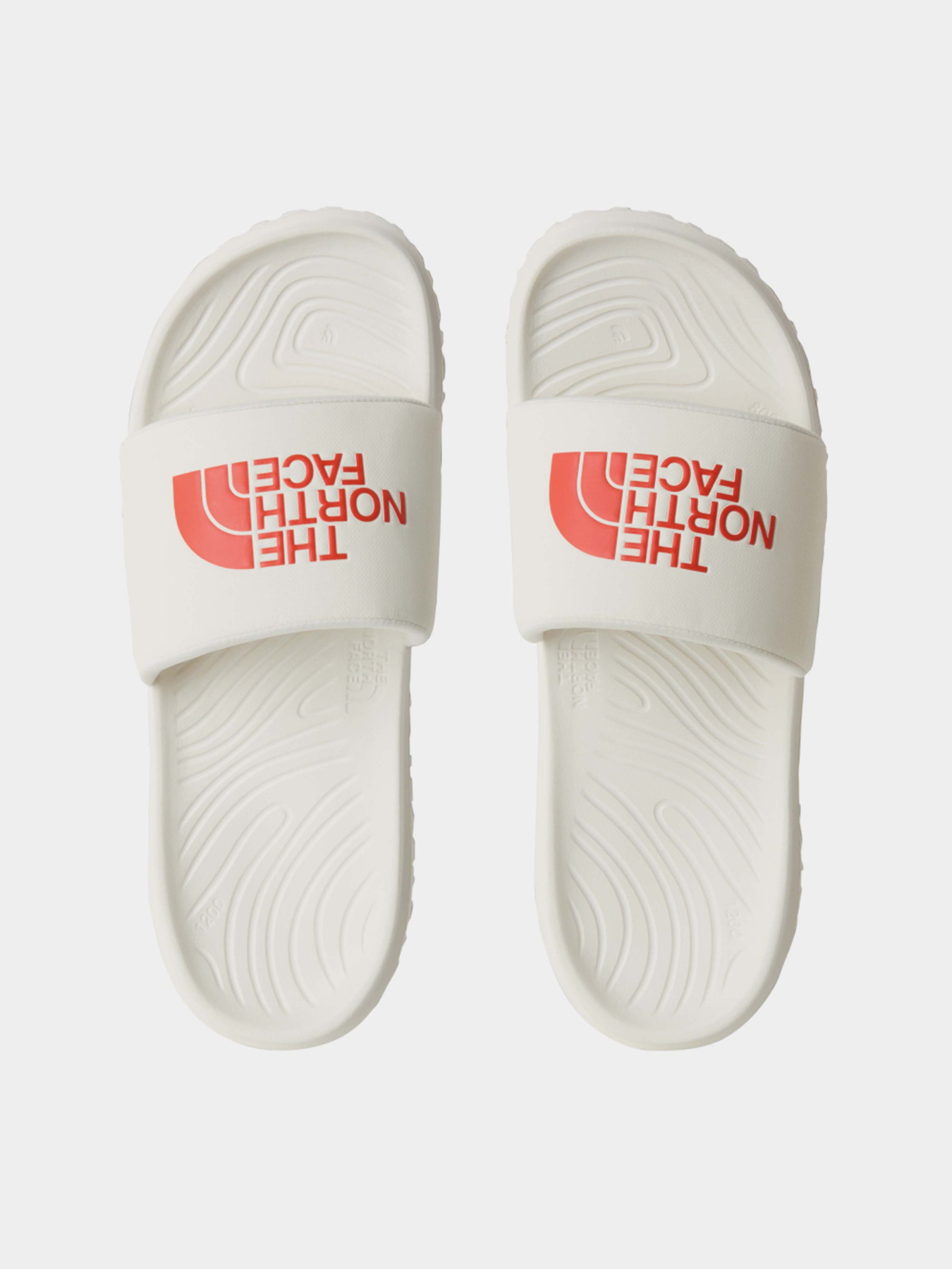 Шлёпанцы The North Face NEVER STOP CUSH SLIDE модель NF0A8A90L7I1 Фото