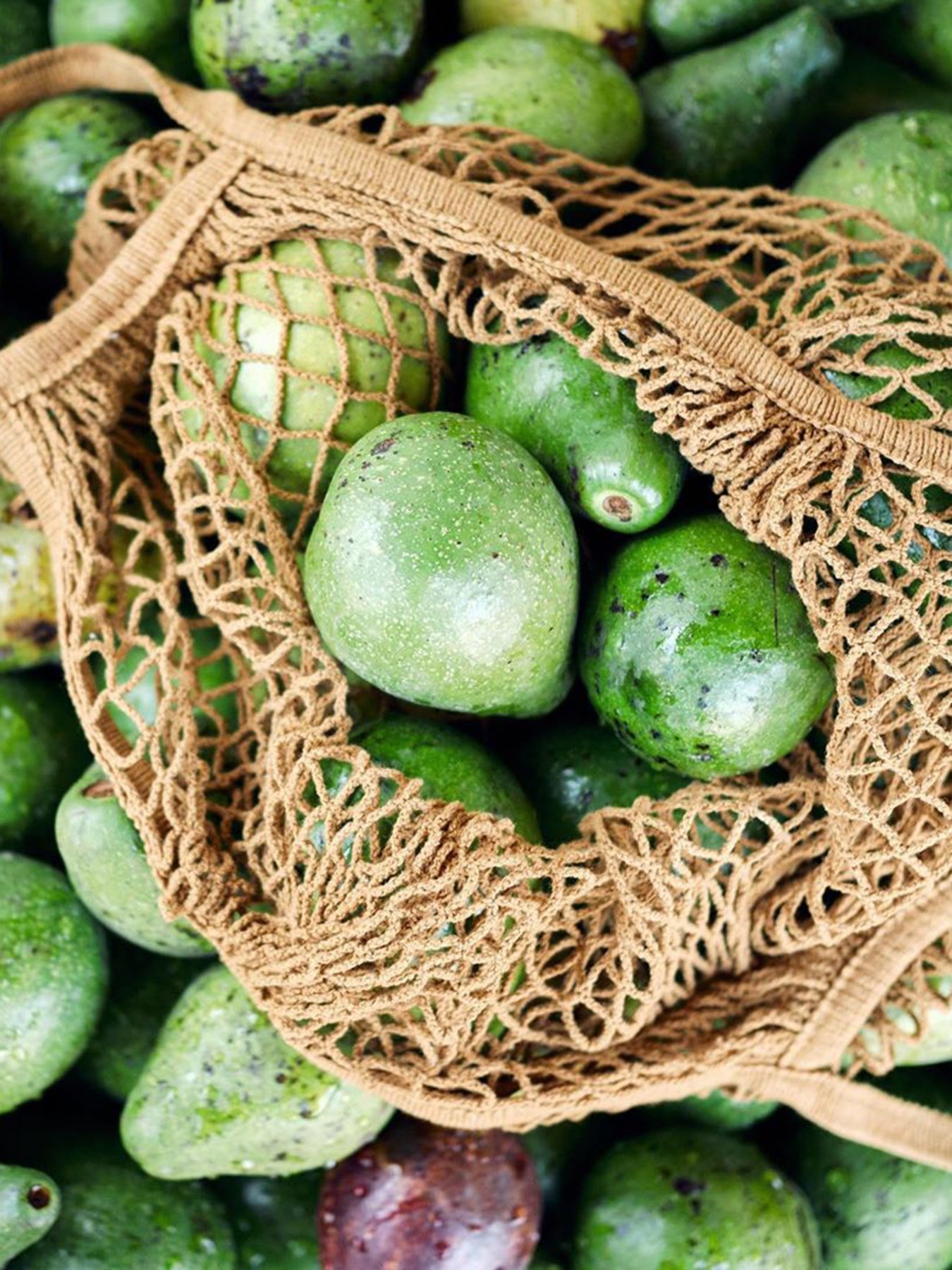 Авокадо Nature Box модель 9000101215762 Фото