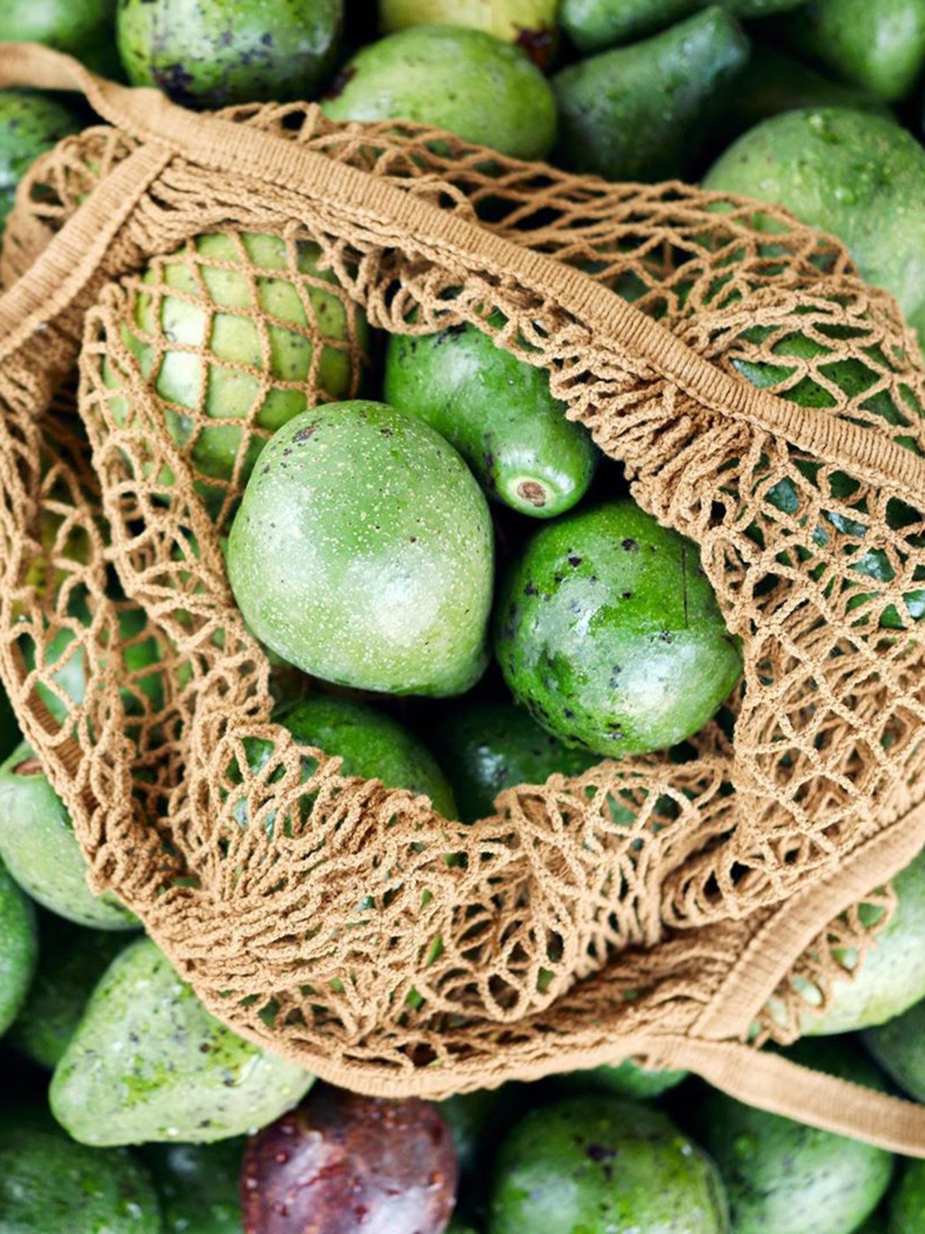 Авокадо Nature Box модель 9000101216134 Фото