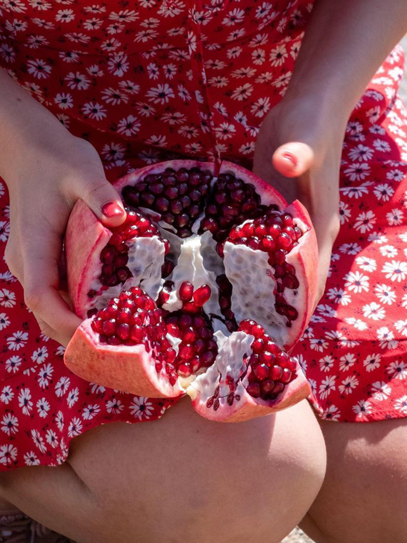 Гранат Nature Box модель 9000101229349 Фото