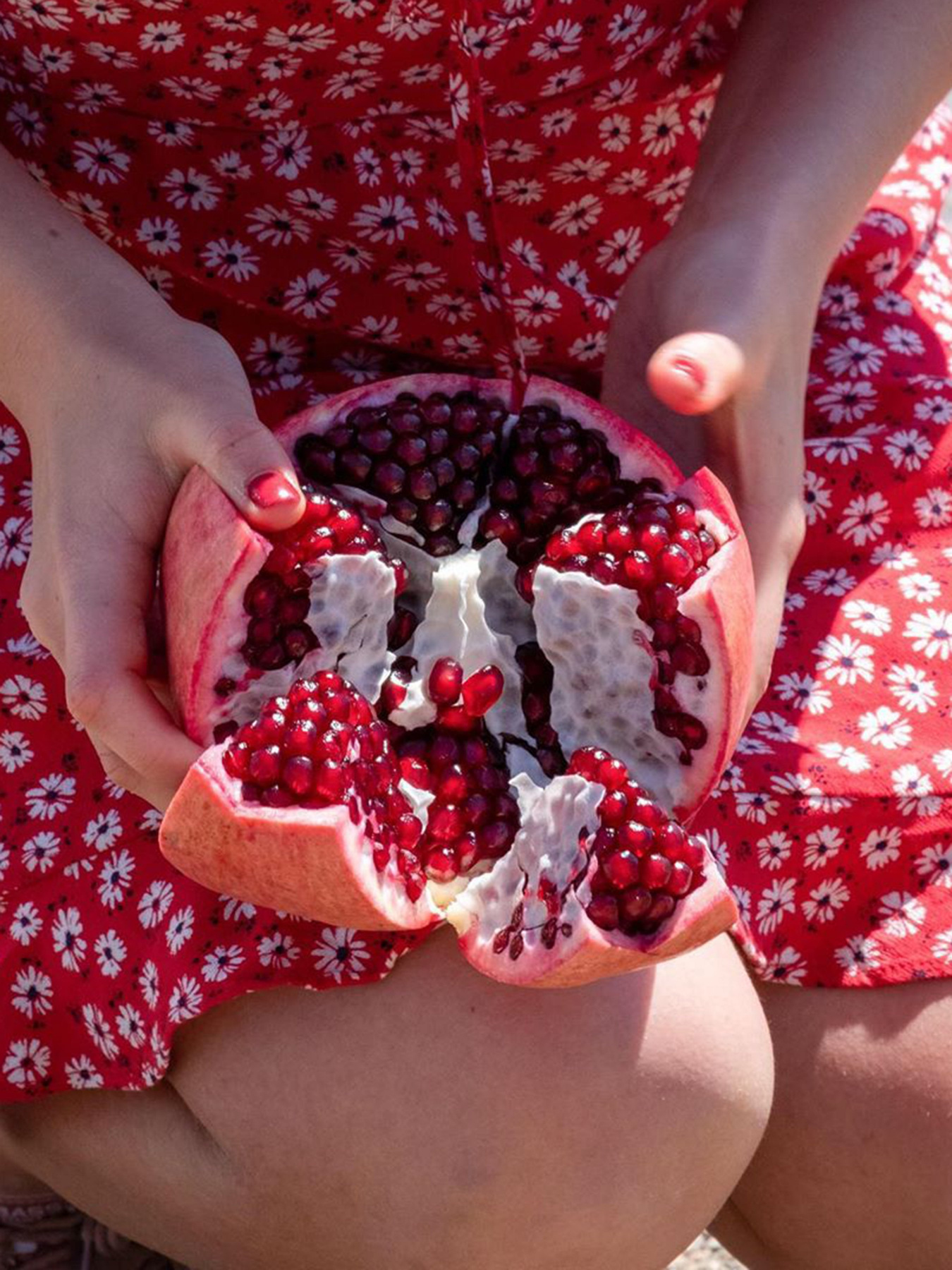 Олива Nature Box модель 90408786 Фото