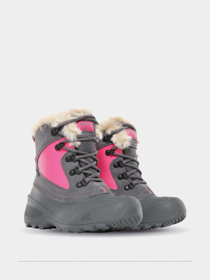 Черевики The North Face Shellista Extreme модель NF0A2T5VH7D1 — фото 4 - INTERTOP