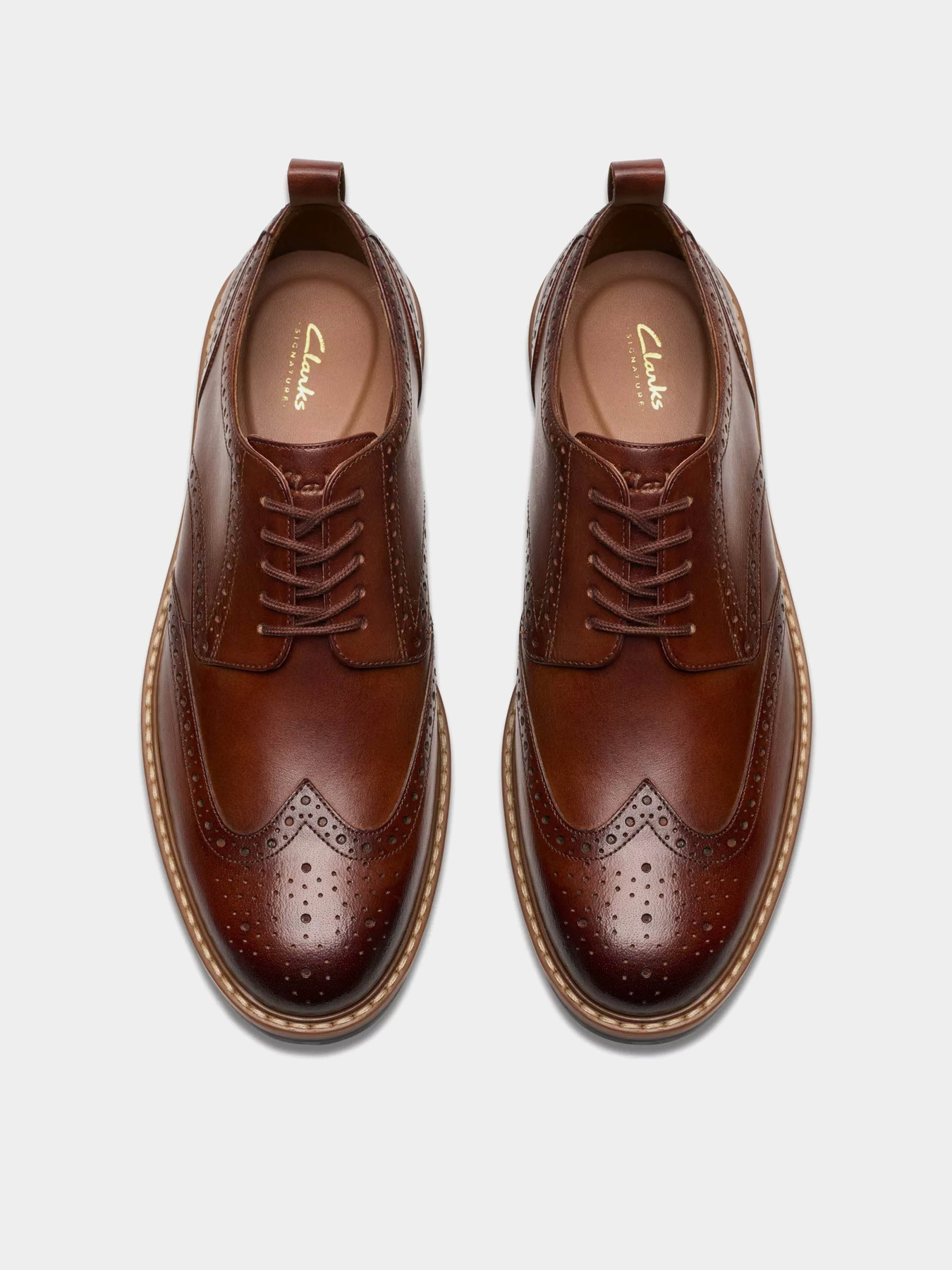 Броги Clarks Aldwin Limit модель 26178428 Фото