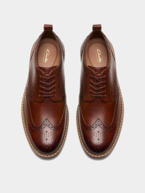 Броги Clarks Aldwin Limit модель 26178428 Фото