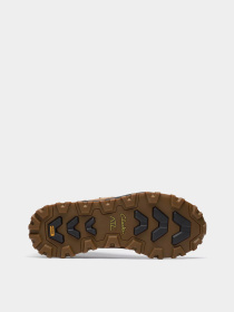 Ботинки Clarks модель 26184483 Фото