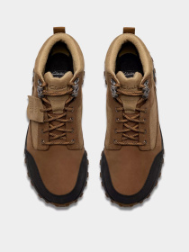 Черевики Clarks модель 26184483 Фото