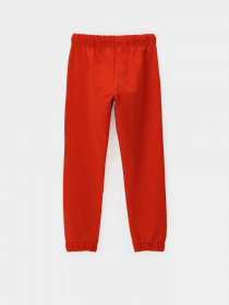 Штаны спортивные Original Marines модель B629BADC_18-1664TCX Фото