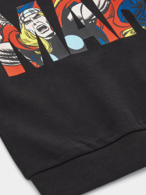 Свитшот Original Marines модель DDAV2573B_19-4008TCX Фото