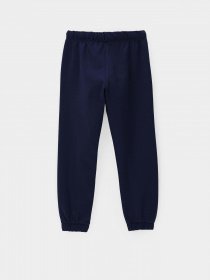 Штаны спортивные Original Marines модель B629BADC_19-3921TCX Фото