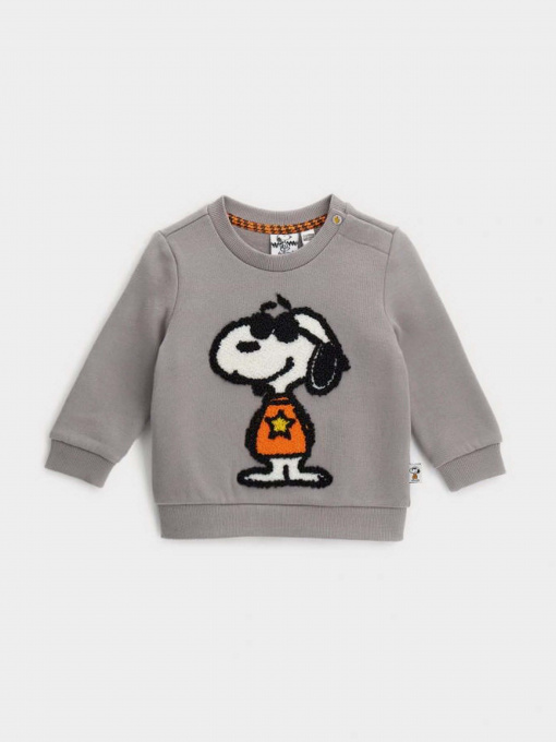 Свитшот Original Marines модель DDAV0670NM_16-3802TCX Фото