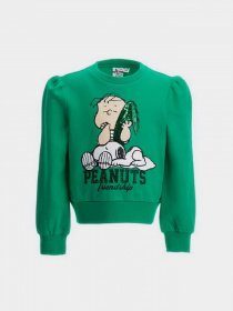 Свитшот Original Marines модель DDAV3571F_17-5937TCX Фото