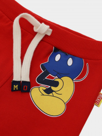 Штаны спортивные Original Marines модель DCAV0626NM_18-1659TCX Фото