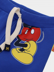 Штаны спортивные Original Marines модель DCAV0626NM_19-4058TCX Фото