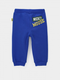 Спортивні штани Original Marines модель DCAV0626NM_19-4058TCX Фото