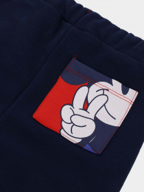 Спортивный костюм Original Marines модель DCAV0631NM_19-3921TCX Фото