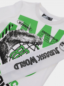 Лонгслів Original Marines модель DCAV2628B_11-4201TCX Фото