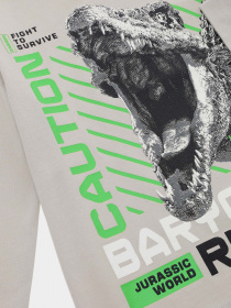 Лонгслив Original Marines модель DCAV2628B_14-4203TCX Фото