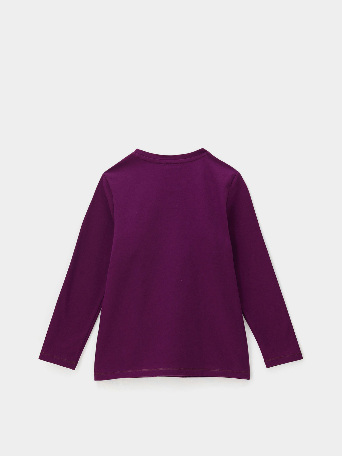 Лонгслив Original Marines модель DCAV3566F_PURPLE. Фото